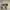 MLB Streetwear Y2K Sneakers Pria White