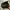 Streetwear Casual Shoe Pria Black