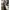 Charles and Keith Casual Crossbody Bag Wanita white black photo 5