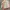 Vintage Y2K Puffer jacket Wanita white pink photo 2