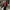 Streetwear Casual Harrington jacket Pria red photo 6