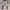 Levi's Vintage Y2K Hoody Pria white photo 2