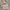 Levi's Vintage Y2K Hoody Pria white photo 4