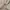 Levi's Vintage Y2K Hoody Pria white photo 5