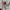 Levi's Vintage Y2K Hoody Pria white photo 3