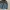 Evisu Vintage Y2K Casual shirt Pria black blue photo 2