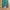 RAGEBLUE Streetwear Gorpcore Sweatpants & Joggers Pria green photo 2