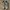 Nike Streetwear Sneakers Pria white photo 2