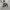 Casual Hoody Pria white photo 3