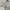 Casual Hoody Pria white photo 4
