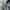 Levi's Vintage Streetwear Jeans Pria navy blue photo 7