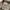 Y2K Grunge Formal shirt Pria brown photo 6