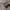 Y2K Grunge Formal shirt Pria brown photo 7