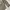 Y2K Grunge Formal shirt Pria brown photo 8