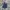 Levi's Vintage Streetwear Jeans Pria blue photo 4