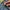 Levi's Vintage Streetwear Jeans Pria blue photo 8