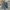 Levi's Vintage Streetwear Jeans Pria blue photo 4