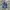 Levi's Vintage Streetwear Jeans Pria blue photo 4