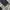 Levi's Vintage Streetwear Jeans Pria blue photo 8