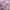 Japanese brand Vintage Y2K Skirt Wanita purple photo 2