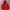 Patagonia Sportswear Puffer Jacket Pria Red