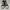 Converse Casual Sneakers Pria white black photo 2