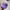 Polo Ralph Lauren Luxury Casual Hat Pria purple photo 1