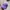 Polo Ralph Lauren Luxury Casual Hat Pria Purple