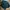 Wacko Maria Streetwear Biker Track jacket Pria black photo 5