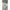 Adidas Sportswear Jersey Pria white photo 3