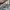 Uniqlo Streetwear Y2K Skinny jeans Wanita white gray photo 1