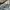 Uniqlo Streetwear Y2K Skinny Jeans Wanita White Gray