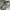 Uniqlo Streetwear Y2K Skinny jeans Wanita white gray photo 2