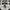 Sportswear Sneakers Wanita multicolor photo 4