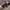 Y2K Goth Crop top Wanita brown black photo 4
