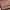 Charles and Keith Casual Shoulder bag Wanita brown photo 2