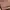Charles And Keith Casual Shoulder Bag Wanita Brown