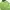 Erigo Casual Hoody Wanita green photo 1