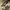 MUSINSA STANDARD Casual Casual pants Pria cream photo 4