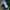 Casual Sock Pria white green photo 2