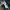 Casual Sock Pria White Green