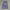 Vintage Minimalist Wanita purple photo 1