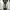OOTJ Vintage Streetwear Jeans Pria white black photo 2