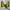 Streetwear Grunge Boots Pria yellow photo 3