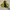 Streetwear Grunge Boots Pria yellow photo 2
