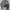 Spao Minimalist Casual Harrington jacket Pria multicolor photo 1