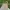 Streetwear Sportswear Short Pria cream photo 1