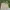 Streetwear Sportswear Short Pria cream photo 4