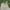 Streetwear Sportswear Short Pria cream photo 2