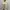 Indie Coquette Cardigan Wanita cream photo 2